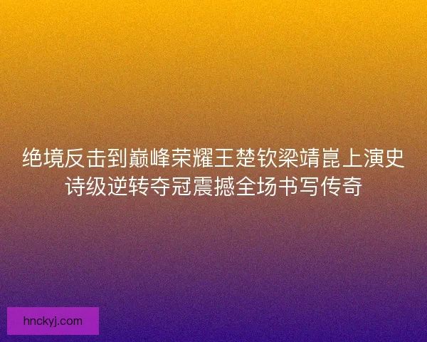 绝境反击到巅峰荣耀王楚钦梁靖崑上演史诗级逆转夺冠震撼全场书写传奇